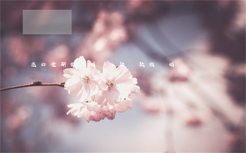 老公逾期假離婚辦貸款(貸款 假離婚)
