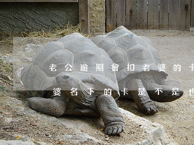 老公逾期會扣老婆的卡么(老公逾期不還款,老婆名下的卡是不是也用不了)