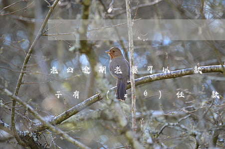 老公逾期老婆可以貸款嗎(老公貸款逾期了妻子有責(zé)任還款嗎?)