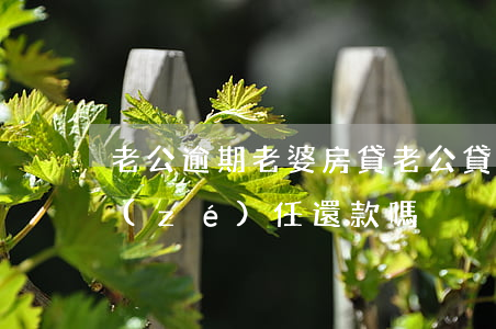 老公逾期老婆房貸(老公貸款逾期了妻子有責(zé)任還款嗎?)