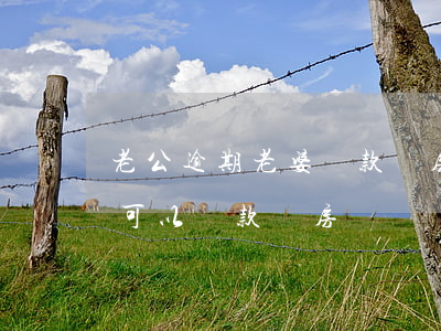 老公逾期老婆貸款買房(老婆征信逾期了,老公可以貸款買房嗎)