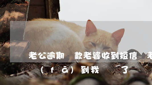老公逾期還款老婆收到短信嗎 老公逾期信息發(fā)到我這來了