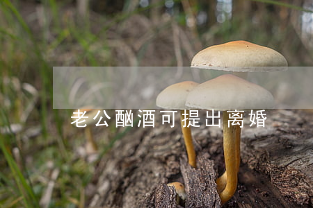 老公酗酒可提出离婚