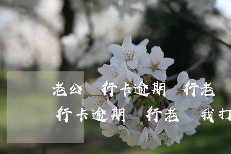老公銀行卡逾期銀行老給我打電話-老公銀行卡逾期銀行老給我打電話怎么辦
