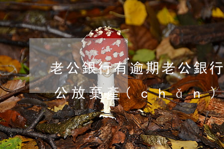 老公銀行有逾期 老公銀行有逾期 妻子買房老公放棄產(chǎn)權(quán)可以貸款嗎