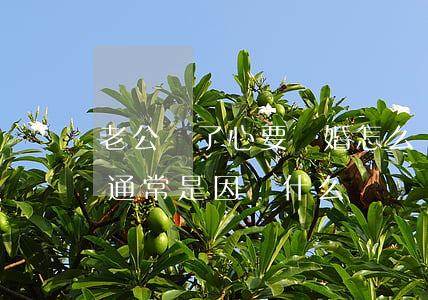 老公鐵了心要離婚怎么辦(男人鐵了心要離婚通常是因為什么)
