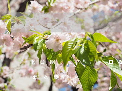 老公開(kāi)口提離婚(老公提離婚我該怎么做)