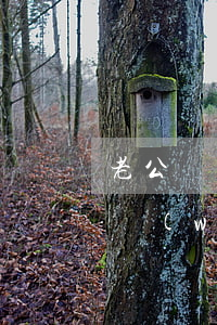 老公隱瞞欠網(wǎng)貸(老公瞞著我借網(wǎng)貸,對(duì)我有沒(méi)有影響?)