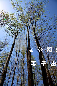 老公離婚后回歸又反復(fù)出軌怎么辦(妻子出軌回歸后最終離婚)