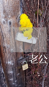 老公離婚吧顧千尋