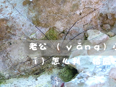 老公養(yǎng)小三的錢離婚時(shí)怎么判(離婚后發(fā)現(xiàn)丈夫給小三的錢能要回來嗎)