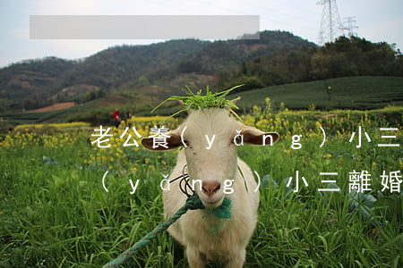 老公養(yǎng)小三離婚怎么判(老公養(yǎng)小三離婚怎么判)