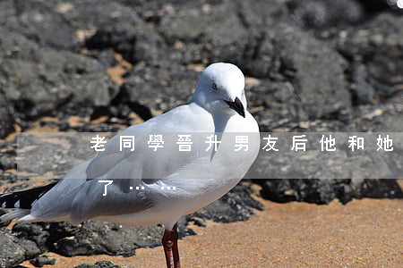 老同學晉升男友后，他和她的“悲慘人生”便開始了……