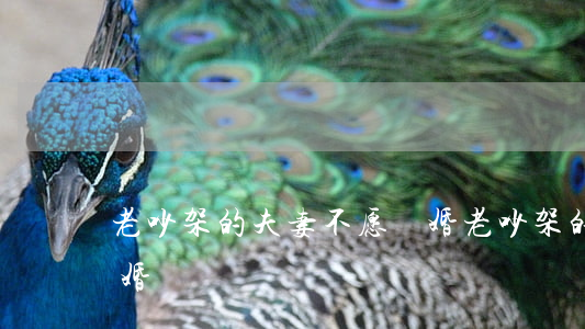 老吵架的夫妻不愿離婚(老吵架的夫妻不愿離婚)