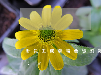 老員工被辭職要被罰錢(老員工辭職補(bǔ)償)