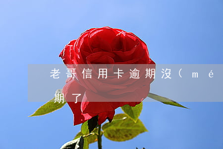 老哥信用卡逾期(沒(méi)注意信用卡逾期了)