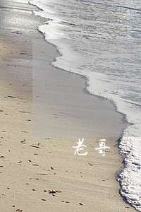 老哥們欠了網(wǎng)貸不還可以嗎