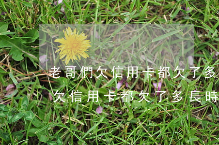 老哥們欠信用卡都欠了多長時間了-老哥們欠信用卡都欠了多長時間了啊