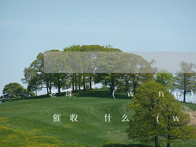 老哥們網(wǎng)貸會(huì)上門催收嗎(什么網(wǎng)貸會(huì)上門催收)