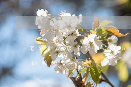 老外離婚孩子歸誰(shuí)(嫁老外最終都離婚)