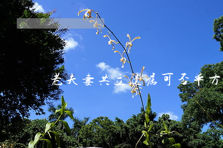 老夫妻共立遗嘱，可否单方撤销？