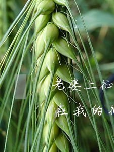 老婆上征信網貸逾期被起訴(現(xiàn)在我的征信逾期,用老婆的可以嗎)