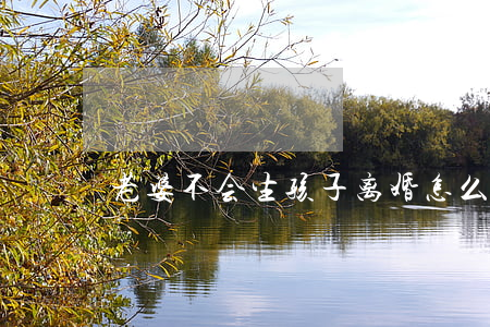 老婆不会生孩子离婚怎么办