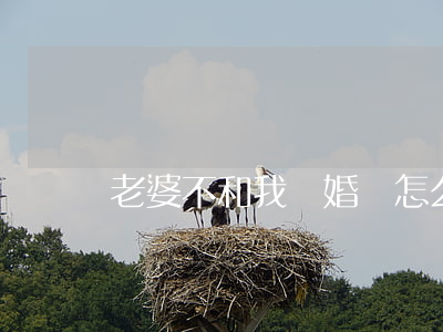 老婆不和我離婚該怎么辦