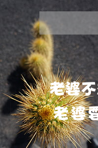 老婆不想和我過(guò)了要離婚怎么辦(老婆要和我離婚我不想離怎么辦)