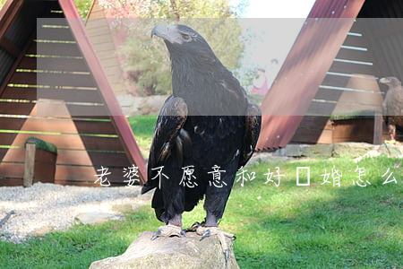 老婆不愿意和好離婚怎么辦