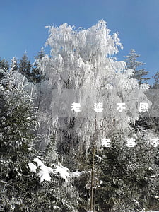 老婆不愿意過(guò)夫妻私生活該離婚嗎(老婆不愿意同房 該離婚不)