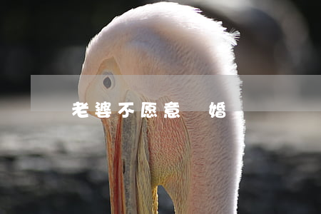 老婆不愿意離婚