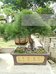 老婆不支持釣魚已離婚