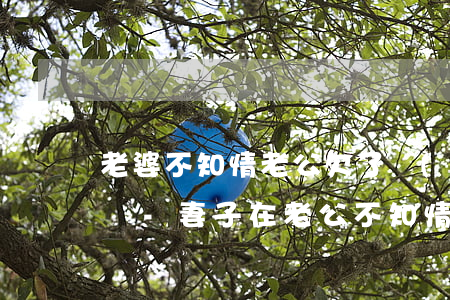 老婆不知情老公欠了網(wǎng)貸用還嗎-妻子在老公不知情的情況下網(wǎng)貸