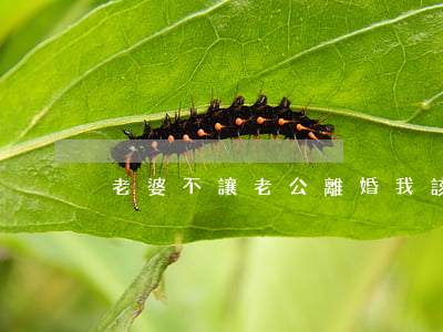 老婆不讓老公離婚我該怎么辦