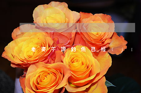 老婆不讓釣魚已經(jīng)離婚