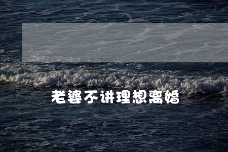 老婆不讲理 想离婚