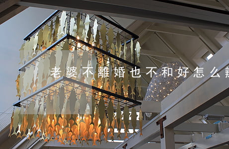 老婆不離婚也不和好怎么辦