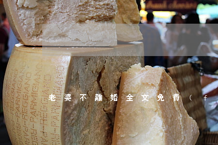 老婆不離婚全文免費(fèi)閱讀