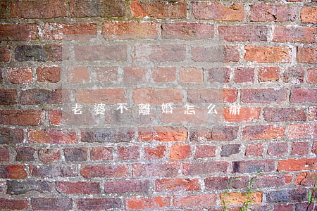 老婆不離婚怎么辦