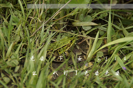老婆丟下兒女堅(jiān)決起訴離婚怎么辦(我打了老婆,老婆現(xiàn)在起訴離婚我該怎么辦?)