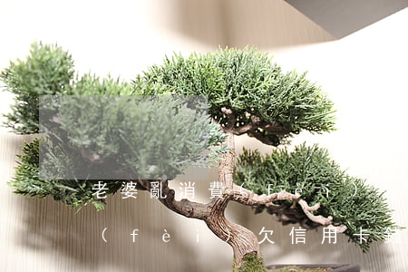老婆亂消費(fèi)欠信用卡 老婆亂消費(fèi)欠信用卡錢怎么辦