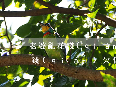 老婆亂花錢(qián)欠信用卡(老婆亂花錢(qián)欠信用卡犯法嗎)