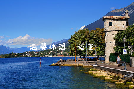 老婆休想離婚堇顏