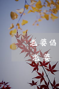 老婆信用卡不還影響大嗎(老公不還信用卡錢,老婆會受牽連嗎)