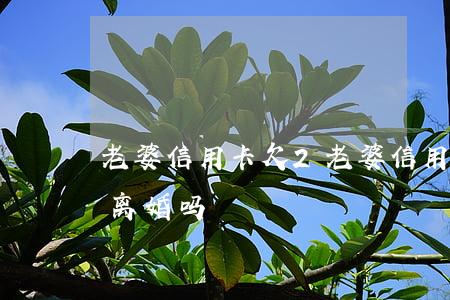 老婆信用卡欠2(老婆信用卡欠20万,男人该离婚吗?)
