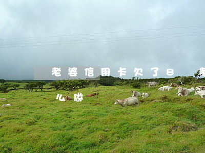 老婆信用卡欠了8萬(老婆欠信用卡十幾萬怎么做)