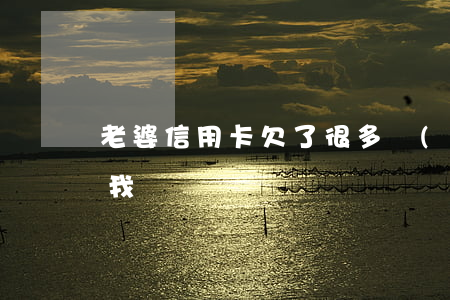 老婆信用卡欠了很多錢(qián)不想和我談