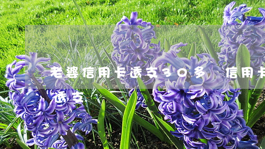 老婆信用卡透支30多萬(信用卡被老婆惡意透支)