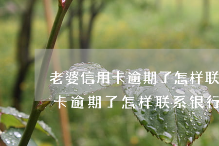 老婆信用卡逾期了怎样联系银行-老婆信用卡逾期了怎样联系银行客服